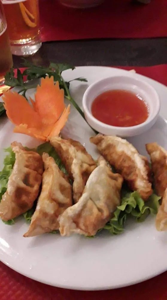 Gyoza Poulet